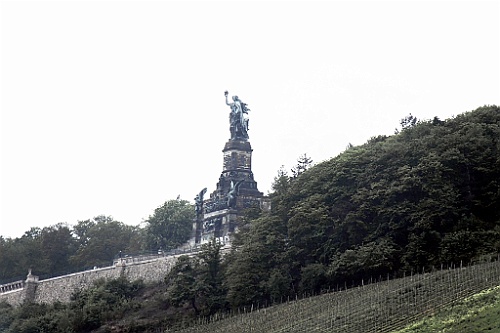 geis (81)